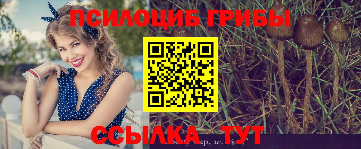 Псилоцибиновые грибы мицелий  Галлюциногенные грибы мицелий  Вход с VPN  Качканар 