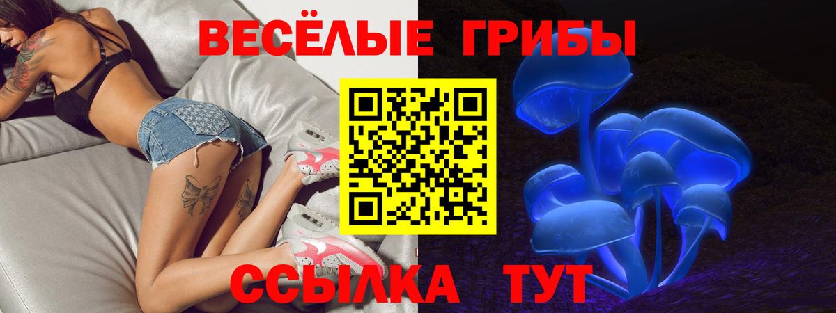 Псилоцибиновые грибы GOLDEN TEACHER Качканар